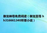 御龙神尊免费阅读（御龙至尊 hh316661340所著小说）