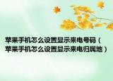 苹果手机怎么设置显示来电号码（苹果手机怎么设置显示来电归属地）