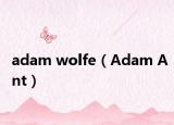 adam wolfe（Adam Ant）