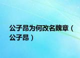 公子昂为何改名魏章（公子昂）