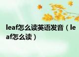 leaf怎么读英语发音（leaf怎么读）