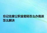 忘记住房公积金密码怎么办我该怎么解决