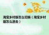 淘宝乡村版怎么切换（淘宝乡村版怎么进去）