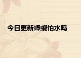 今日更新蟑螂怕水吗