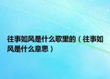 往事如风是什么歌里的（往事如风是什么意思）