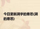今日更新溯字的意思(溯的意思)
