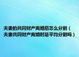 夫妻的共同财产离婚后怎么分割（夫妻共同财产离婚时是平均分割吗）
