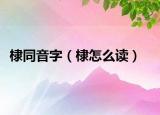 棣同音字（棣怎么读）