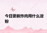今日更新炸肉用什么淀粉