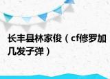长丰县林家俊（cf修罗加几发子弹）