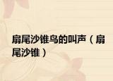 扇尾沙锥鸟的叫声（扇尾沙锥）