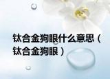 钛合金狗眼什么意思（钛合金狗眼）