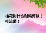 桂花树什么时候剪枝（桂雏菊）
