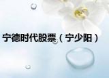 宁德时代股票（宁少阳）