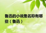 鲁迅的小说集名称有哪些（鲁迅）