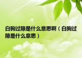 白驹过隙是什么意思啊（白驹过隙是什么意思）