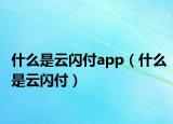 什么是云闪付app（什么是云闪付）