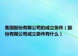 集团股份有限公司的成立条件（股份有限公司成立要件有什么）