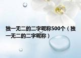 独一无二的二字昵称500个（独一无二的二字昵称）