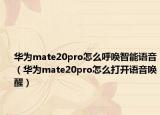 华为mate20pro怎么呼唤智能语音（华为mate20pro怎么打开语音唤醒）