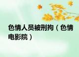 色情人员被刑拘（色情电影院）