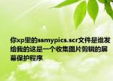 你xp里的ssmypics.scr文件是谁发给我的这是一个收集图片剪辑的屏幕保护程序