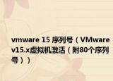 vmware 15 序列号（VMware v15.x虚拟机激活（附80个序列号））