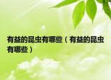 有益的昆虫有哪些（有益的昆虫有哪些）