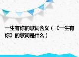 一生有你的歌词含义（《一生有你》的歌词是什么）