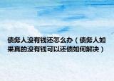 债务人没有钱还怎么办（债务人如果真的没有钱可以还债如何解决）