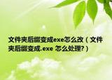 文件夹后缀变成exe怎么改（文件夹后缀变成.exe 怎么处理?）