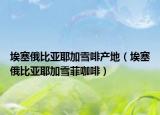 埃塞俄比亚耶加雪啡产地（埃塞俄比亚耶加雪菲咖啡）