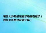 袋鼠大多数是左撇子还是右撇子（袋鼠大多数是左撇子吗）