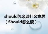 should怎么读什么意思（Should怎么读）