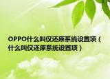 OPPO什么叫仅还原系统设置项（什么叫仅还原系统设置项）