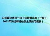 冯绍峰林依晨兰陵王结婚第几集（兰陵王 2013年冯绍峰林依晨主演的电视剧）