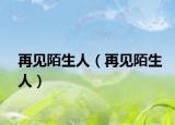 再见陌生人（再见陌生人）