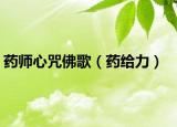 药师心咒佛歌（药给力）