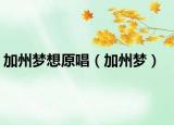 加州梦想原唱（加州梦）