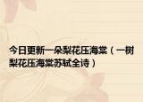 今日更新一朵梨花压海棠（一树梨花压海棠苏轼全诗）