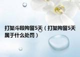 打架斗殴拘留5天（打架拘留5天属于什么处罚）