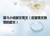 宫斗小说甜文宠文（后宫宠文独宠的甜文）