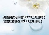 处理罚款可以在12123上处理吗（警告处罚能在12123上处理吗）