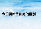 今日更新隼和鹰的区别