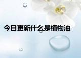 今日更新什么是植物油