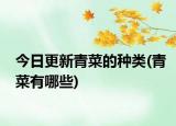 今日更新青菜的种类(青菜有哪些)