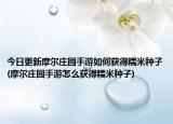 今日更新摩尔庄园手游如何获得糯米种子(摩尔庄园手游怎么获得糯米种子)