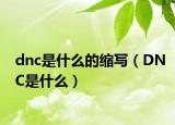 dnc是什么的缩写（DNC是什么）