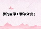 翳的意思（翳怎么读）