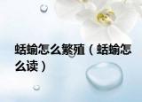 蛞蝓怎么繁殖（蛞蝓怎么读）